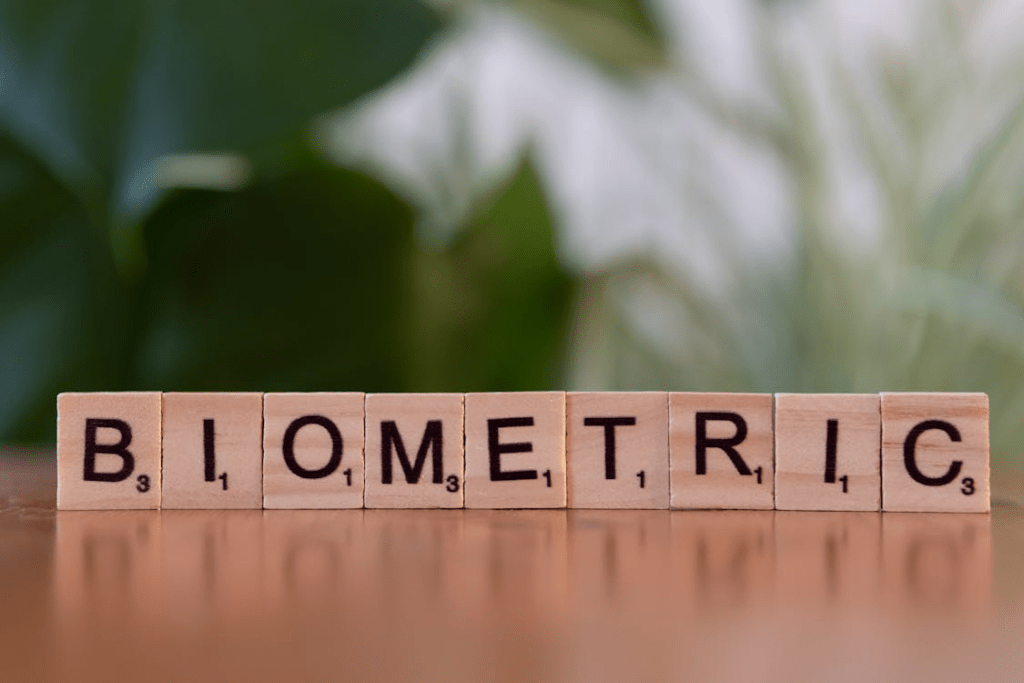 Wooden blocks spelling biometric